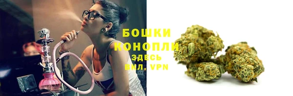 ALPHA PVP Верея