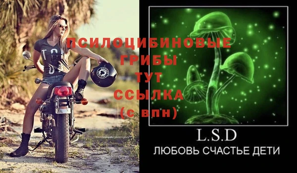 ALPHA PVP Верея