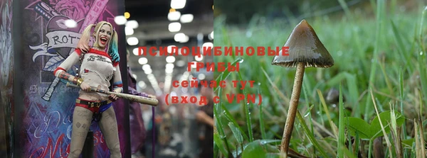 бутират Волосово