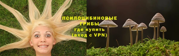 МДПВ Слюдянка