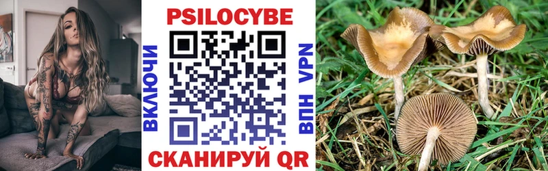 Псилоцибиновые грибы MAGIC MUSHROOMS  наркота  Жирновск 